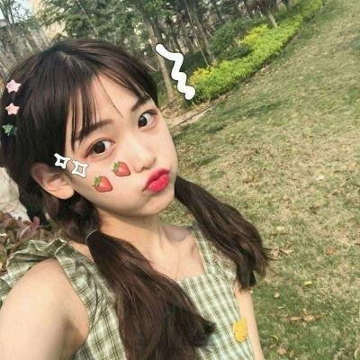 北极征熊记